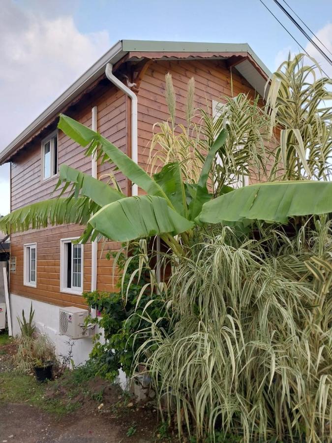 Le Cosy Bungalow De Lili / 5Min De L'Aeroport Les Abymes Exterior photo