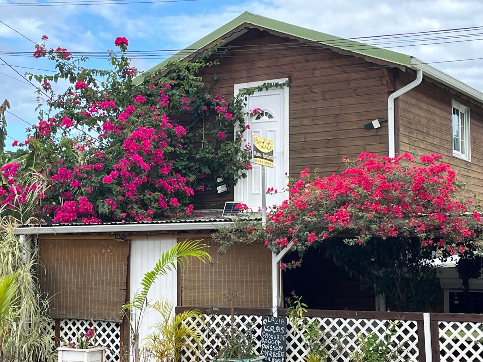 Le Cosy Bungalow De Lili / 5Min De L'Aeroport Les Abymes Exterior photo